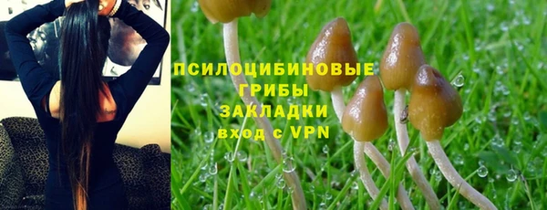 спайс Армянск