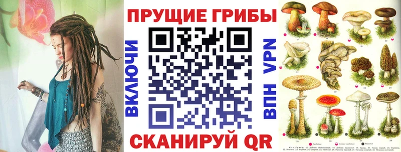 сколько стоит  МЕГА ссылка  Галлюциногенные грибы мицелий  Ноябрьск 