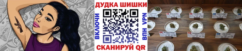 mega онион  Ноябрьск  Канабис Amnesia 